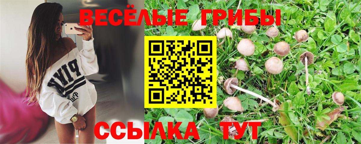 Псилоцибиновые грибы Psilocybine cubensis  Вход с VPN  Норильск 