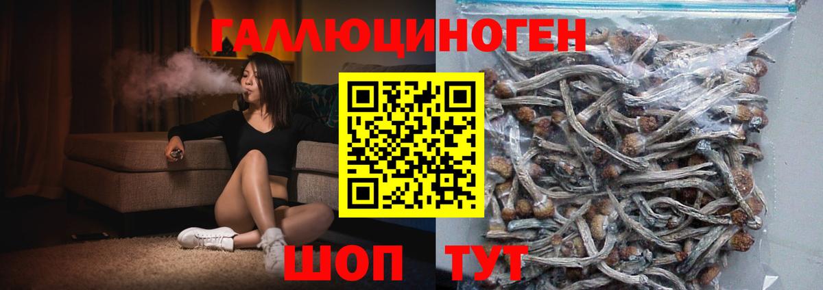 Псилоцибиновые грибы Cubensis Норильск